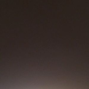 Meet your Posher, Travis